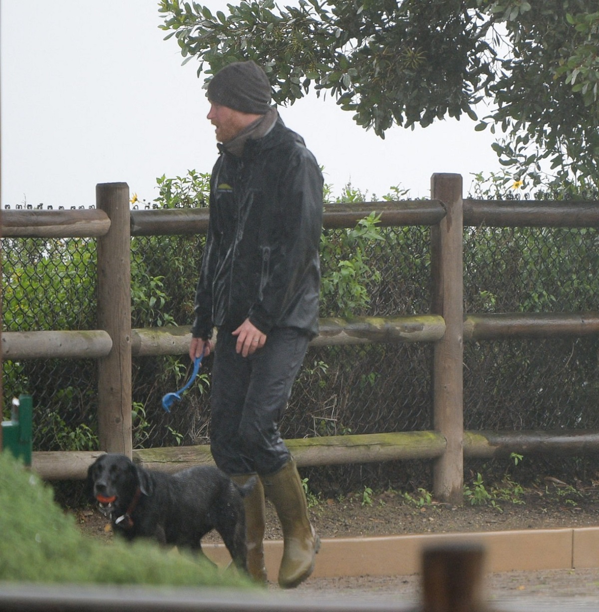 Prințul Harry alături de câinele său, Pula