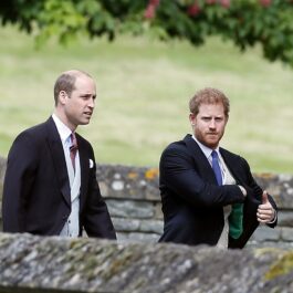 Prințul Harry și Prințul William în timpul unei plimbări după nunta Pippei Middleton