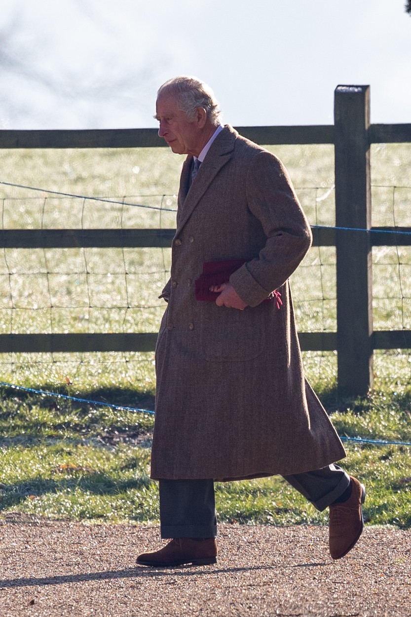 Regele Charles, singur, îmbrăcat într-un palton maroniu