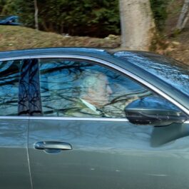 Regele Charles, la volanul unei mașini, în Scoția
