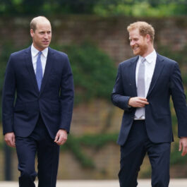 Prințl William și Prințul Harry, la costum, la dezvelirea statuii Prințesei Diana
