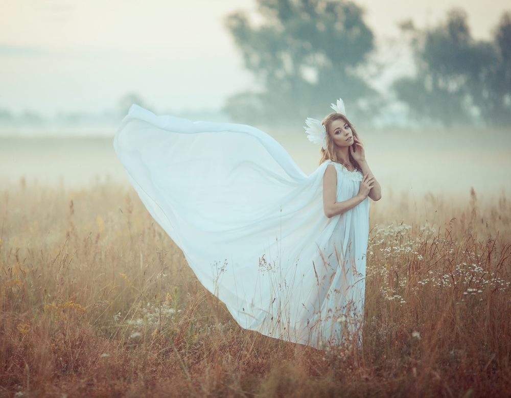 Fată frumoasă îmbrăcată într-o rochie albă lungă stă pe un câmp