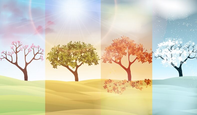 Cele patru anotimpuri ilustrate de copaci coloreți pentru a ilustra ce personaliatte ai în funcție de anotimpul în care te-ai născut