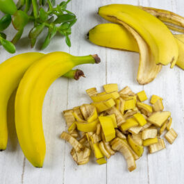 Coji de banane tăiate în bucățele mici cu banane întregi alături