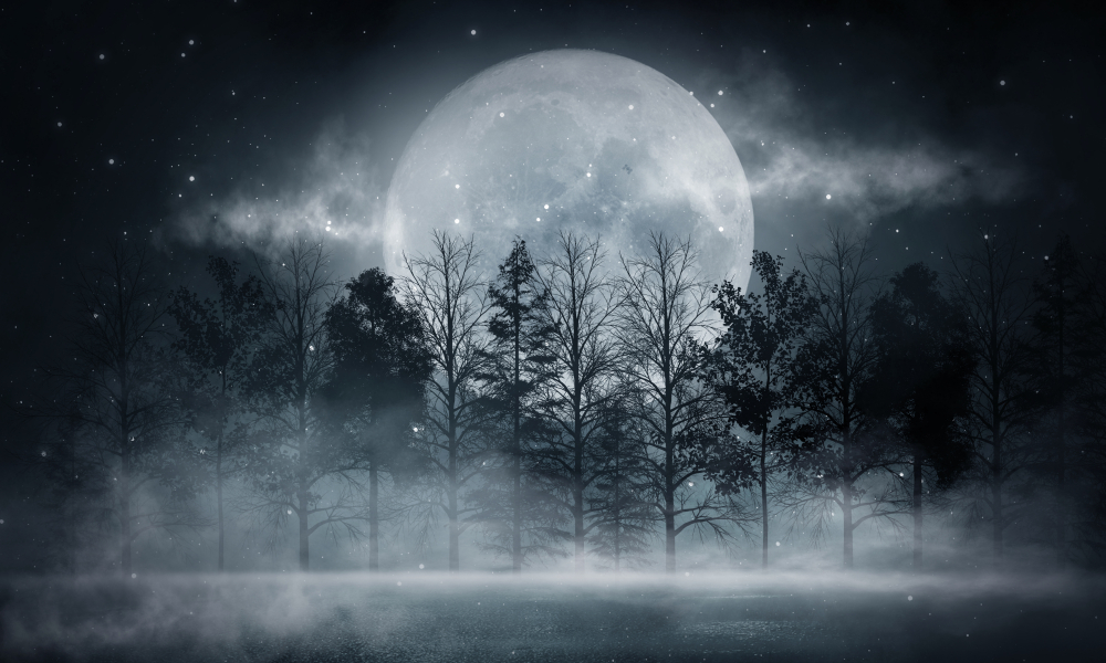 Lună Plină care se află printre copaci într-un fundal închis la culoare
