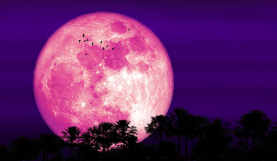Luna roz din aprilie 2023 va influența emoțiile nativilor zodiacului