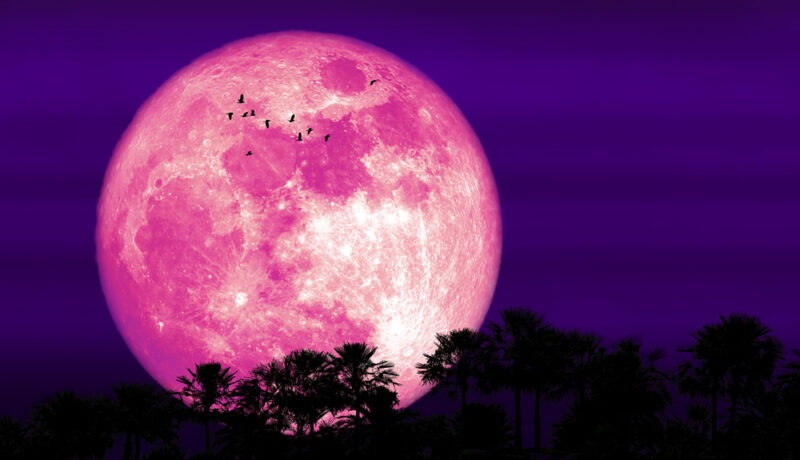 Luna roz din aprilie 2023 va influența emoțiile nativilor zodiacului