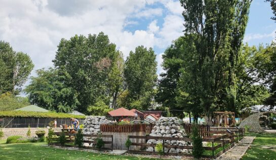 Top 5 grădini zoologice din România care merită vizitate. Unde te poți distra alături de cei mici