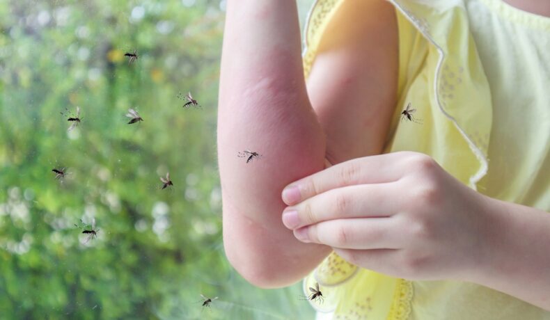 O fetiță care e mușcată și înconjrată de țânțari