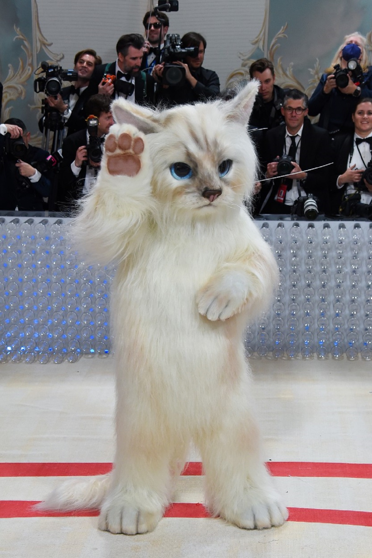 Jared Leto într-un costum de pisică albă pe covorul roșu de la Met Gala 2023