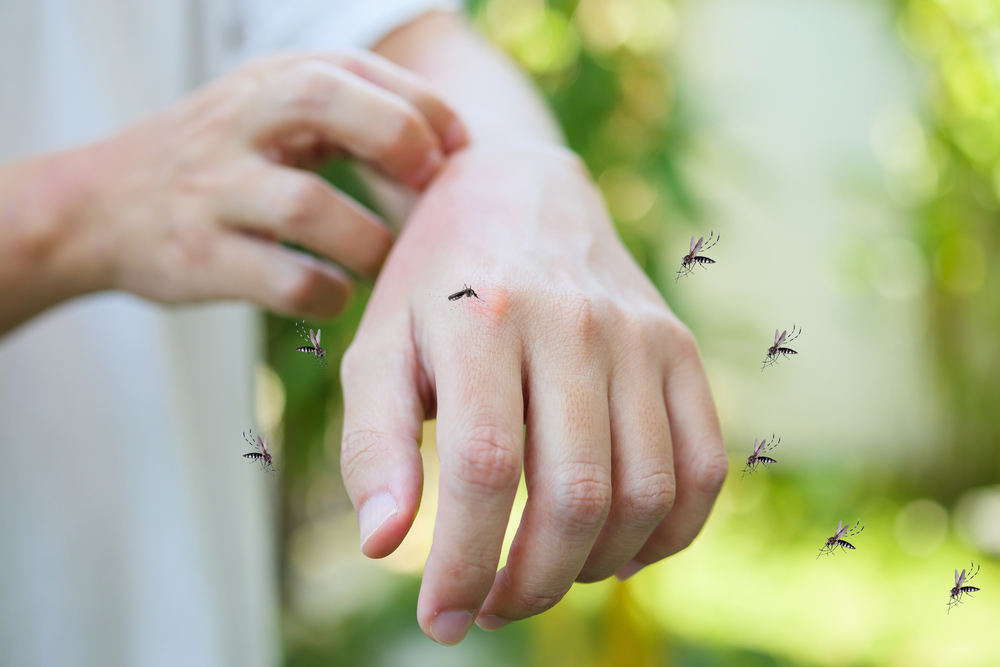 O mână pe care sunt mulți țânțari