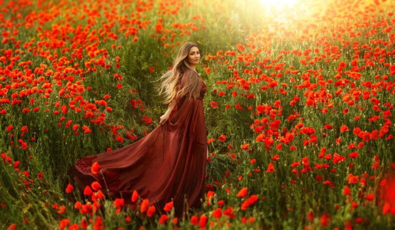 Fată frumoasă îmbrăcată într-o rochie lungă, vișinie stă într-un câmp cu flori