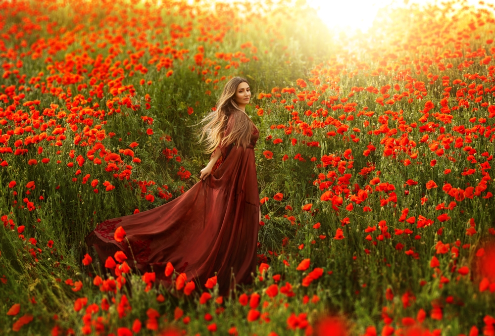 Fată frumoasă îmbrăcată într-o rochie lungă, vișinie stă într-un câmp cu flori