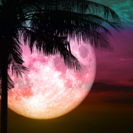 Luna plină roz pe un fundal închis la culoare cu tente de mov și roz