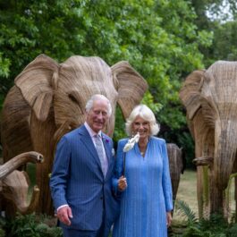 Regele Charles și Regina Camilla în ținute albastre la Balul Animalelor