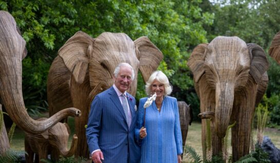 Regele Charles și Regina Camilla au purtat măști la Balul Animalelor. Evenimentul impresionant s-a ținut la Lancaster House