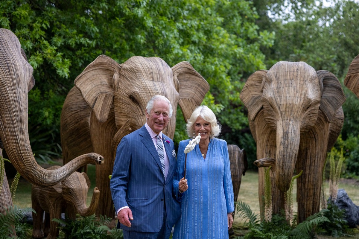 Regele Charles și Regina Camilla în ținute albastre la Balul Animalelor