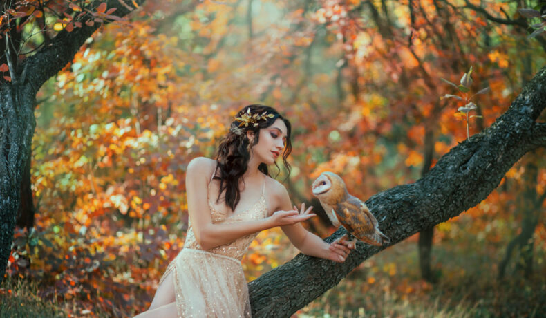 Fată frumoasă într-o pădure îmbrăcată într-o rochie lungă cu o bufniță
