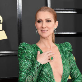 Îmbrăcată într-o rochie elegantă, verde și cu un decolteu adânc, Celine Dion și-a făcut o apariție strălucitoare pe covorul roșu întins pentru Premiile Grammy 2017