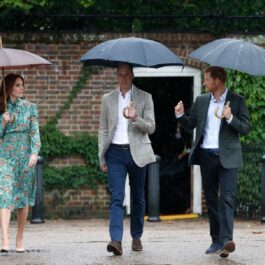 Ducele și Ducesa de Cambridge, alături de Prințul Harry în timpul unei vizite pe care au făcut-o în una dintre grădinile Palatului Kensington