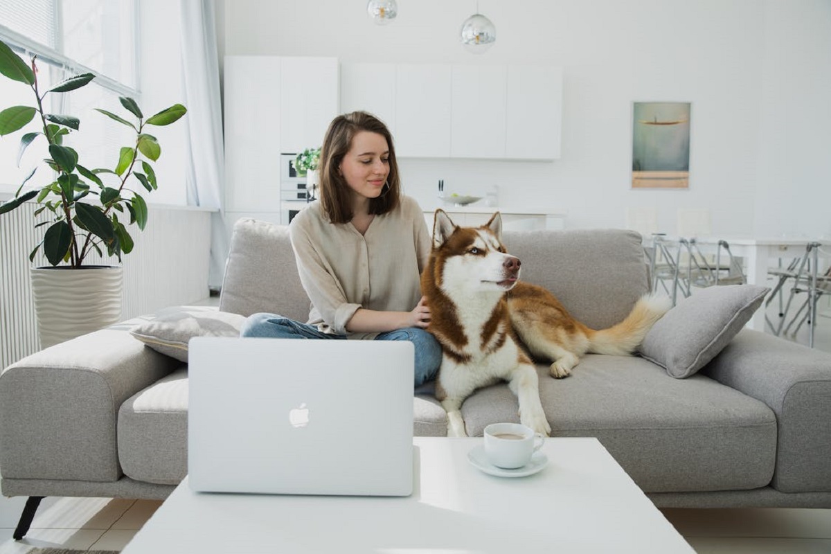 Un living spa ios în care se află o femeie cu un câine care stau împreună pe o canapea și privesc un ecran de laptop