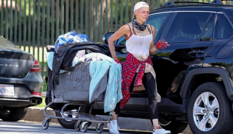 Fostul model Loni Willison cutreieră străzile din Los Angeles. A ajuns fără adăpost la numai 40 de ani, iar corpul ei e departe de imaginea perfectă de altădată