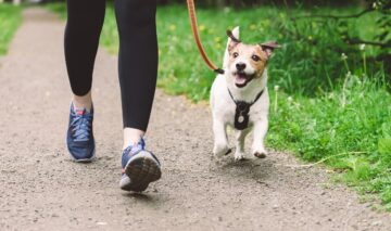 O femeie frumoasă care își plimbă câinele pentru a ilustra cum să folosești mersul pe jos ca să slăbești mai mult