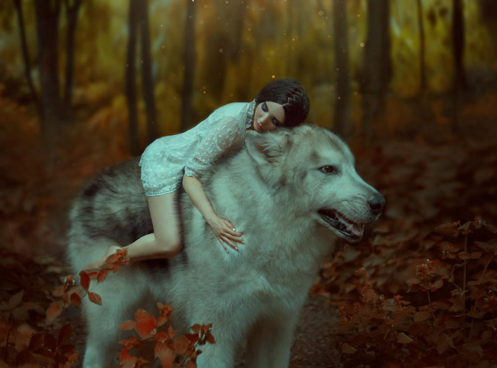 Fată frumoasă stă într-o pădure pe un lup cu ochii deschiși