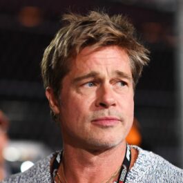 Brad Pitt, fotografie la chip, privind în depărtare