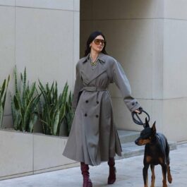 Kendall Jenner a ieșit la plimbare cu câinele său