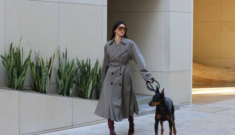Kendall Jenner a ieșit la plimbare cu câinele său. Vedeta s-a relaxat pe străzile din Beverly Hills