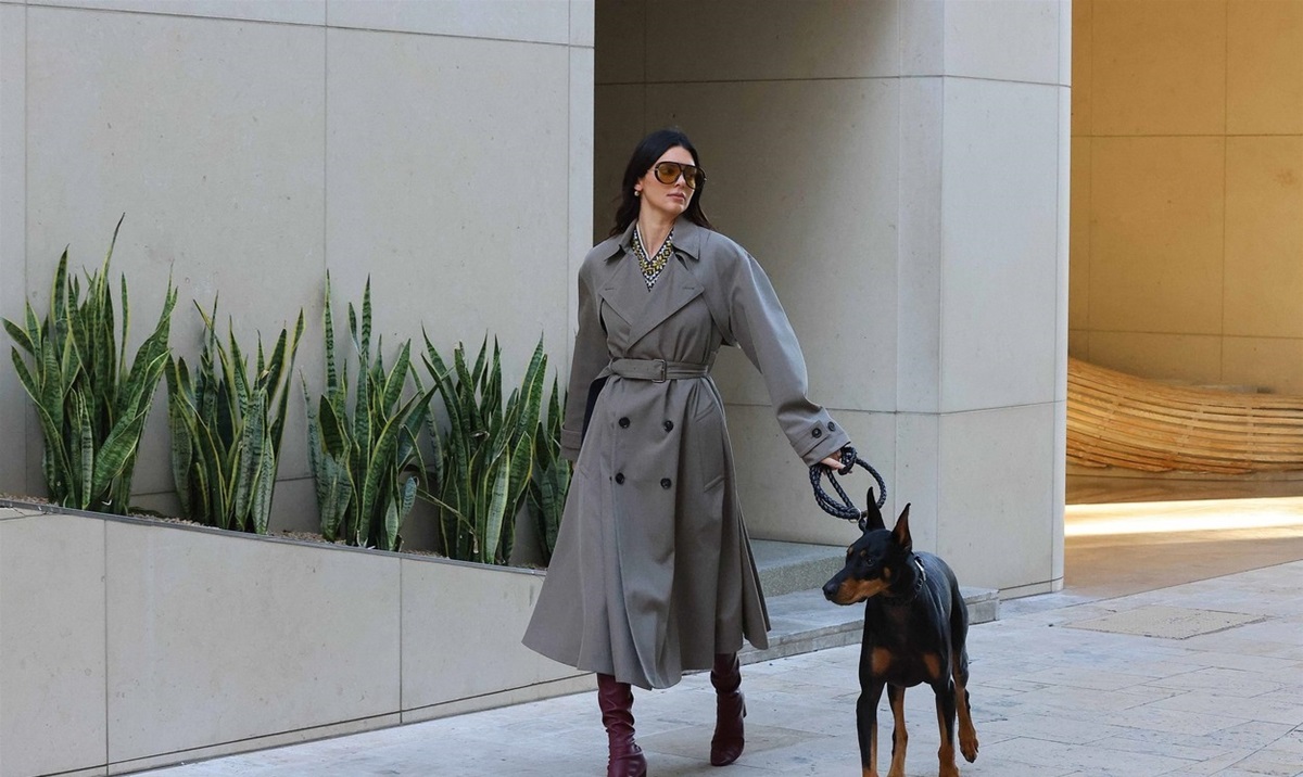 Kendall Jenner a ieșit la plimbare cu câinele său