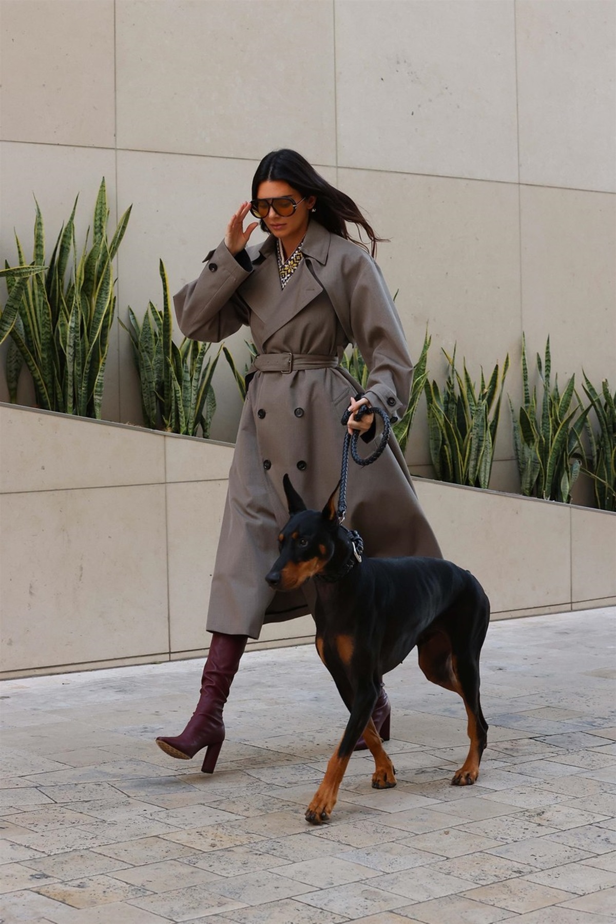 Kendall Jenner în timp ce se plimbă pe stradă cu câinele său
