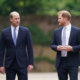 Prințul William și Prințul Harry în timp ce discută după ce s-au văzut la dezvelirea statuii Prințesei Diana