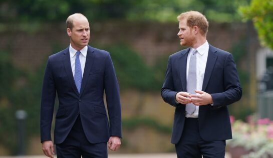 Relația Prințului William cu Prințul Harry este tensionată. Ce spun experții regali despre o posibilă împăcare