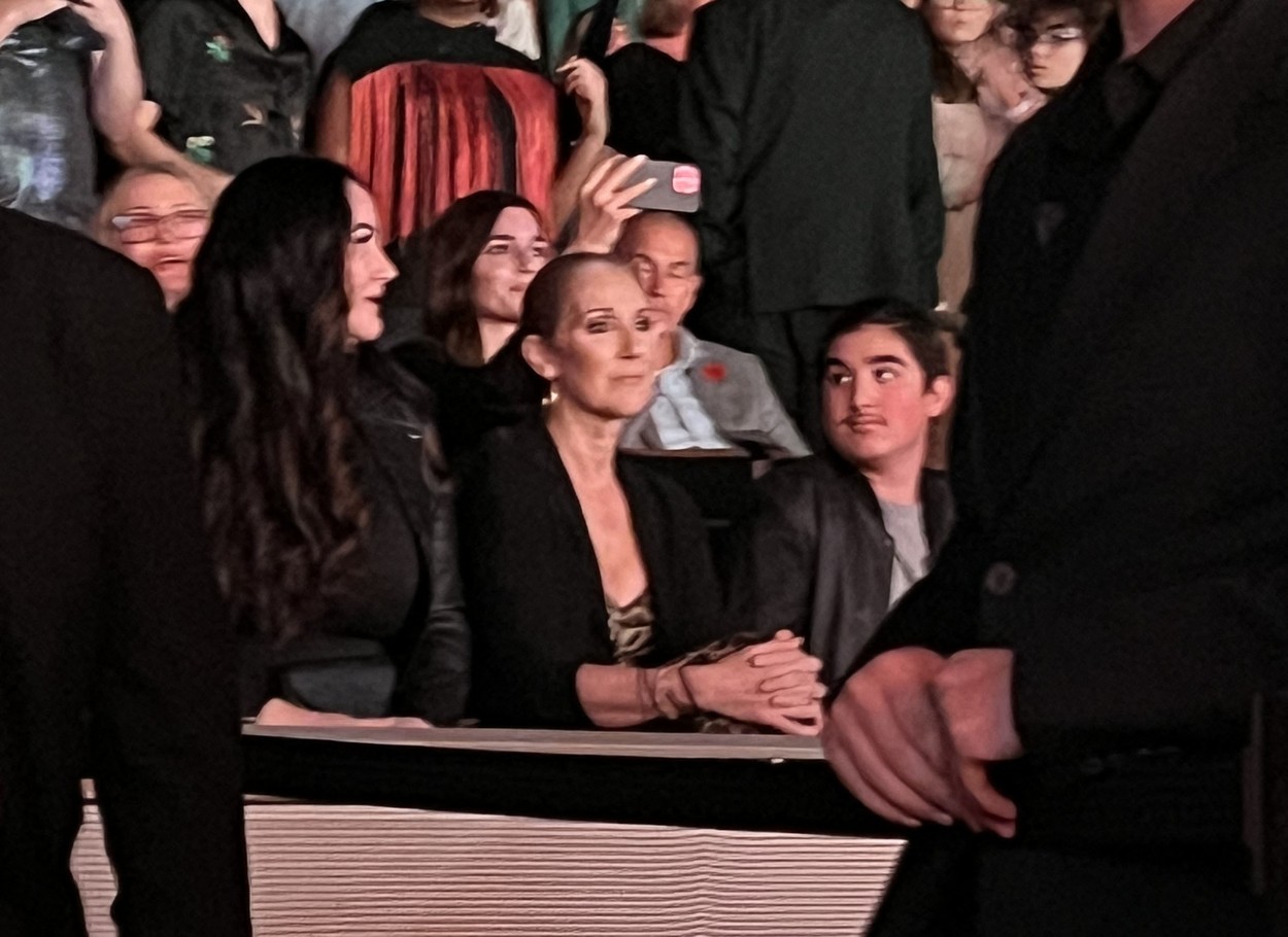 Celine Dion, la un spectacol, în public