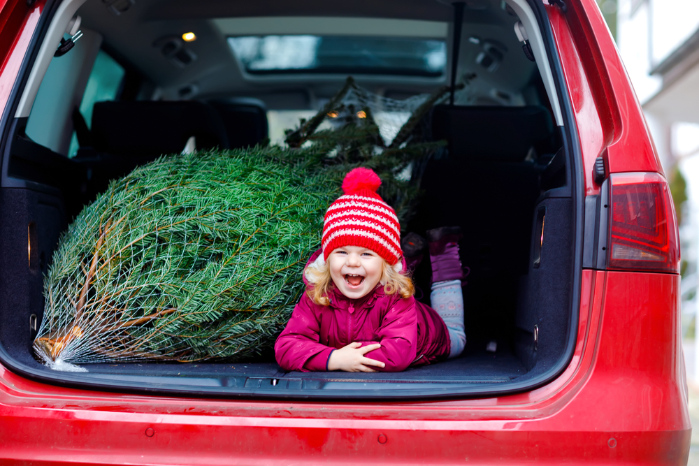 O fetiță care stă în portbagajul mașinii alături de bradul de Crăciun