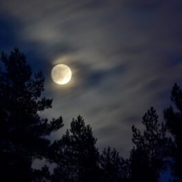 Luna Plină acoperită parțial de nori și brazi