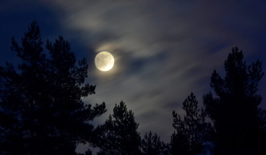 Calendarul fazelor lunii în februarie 2024. Cand pică Luna Plină și ce semnificație are