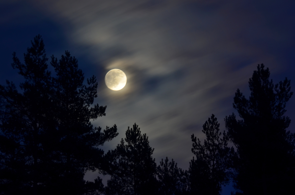 Luna Plină acoperită parțial de nori și brazi