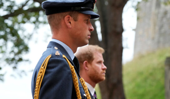 Prințul William și Harry se vor reuni pentru a-și onora mama. Cei doi frați aduc un nou omagiu moștenirii lăsate de Prințesa Diana