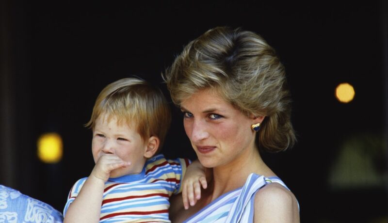 Charles Spencer a postat o fotografie rară cu Prințesa Diana. Admiratorii Familiei Regale au sesizat asemănarea Prințesei Charlotte cu bunica sa
