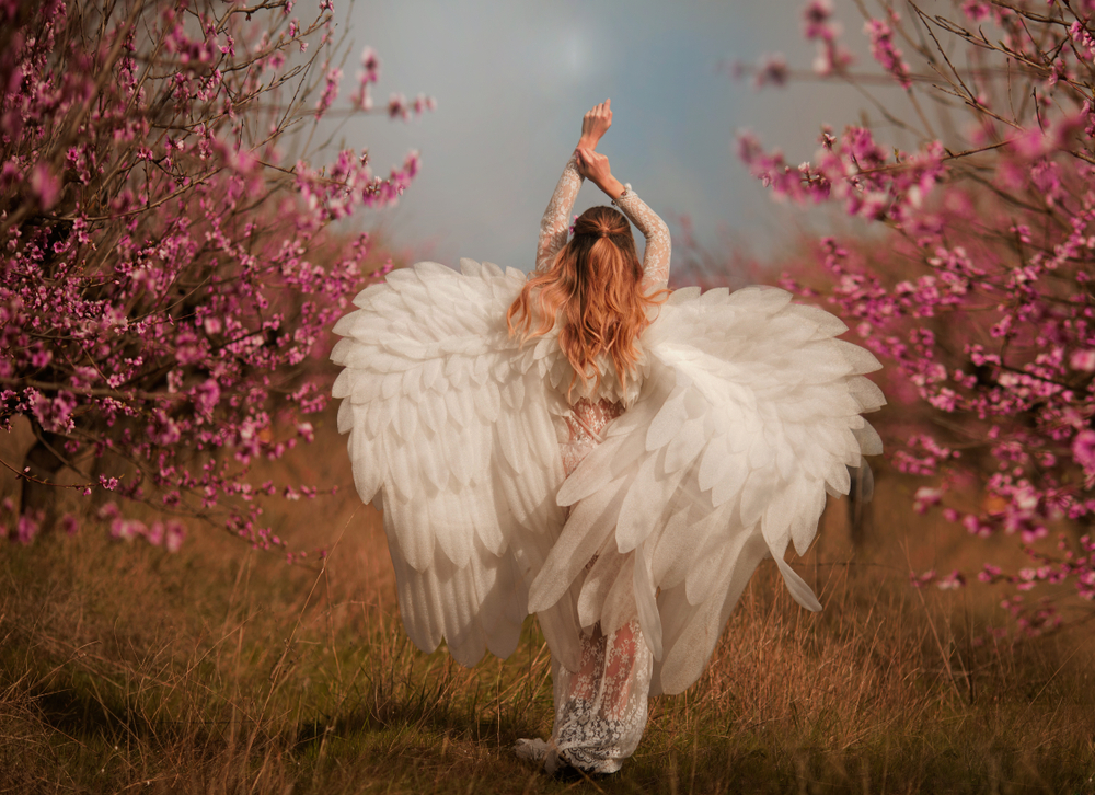 O femeie în rochie albă, cu aripi de înger, care stă într-o livadă înflorită