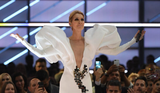 Celine Dion a pozat topless pe coperta revistei Vogue Franța. Revenirea pe scenă este un obiectiv, dar e foarte greu de atins